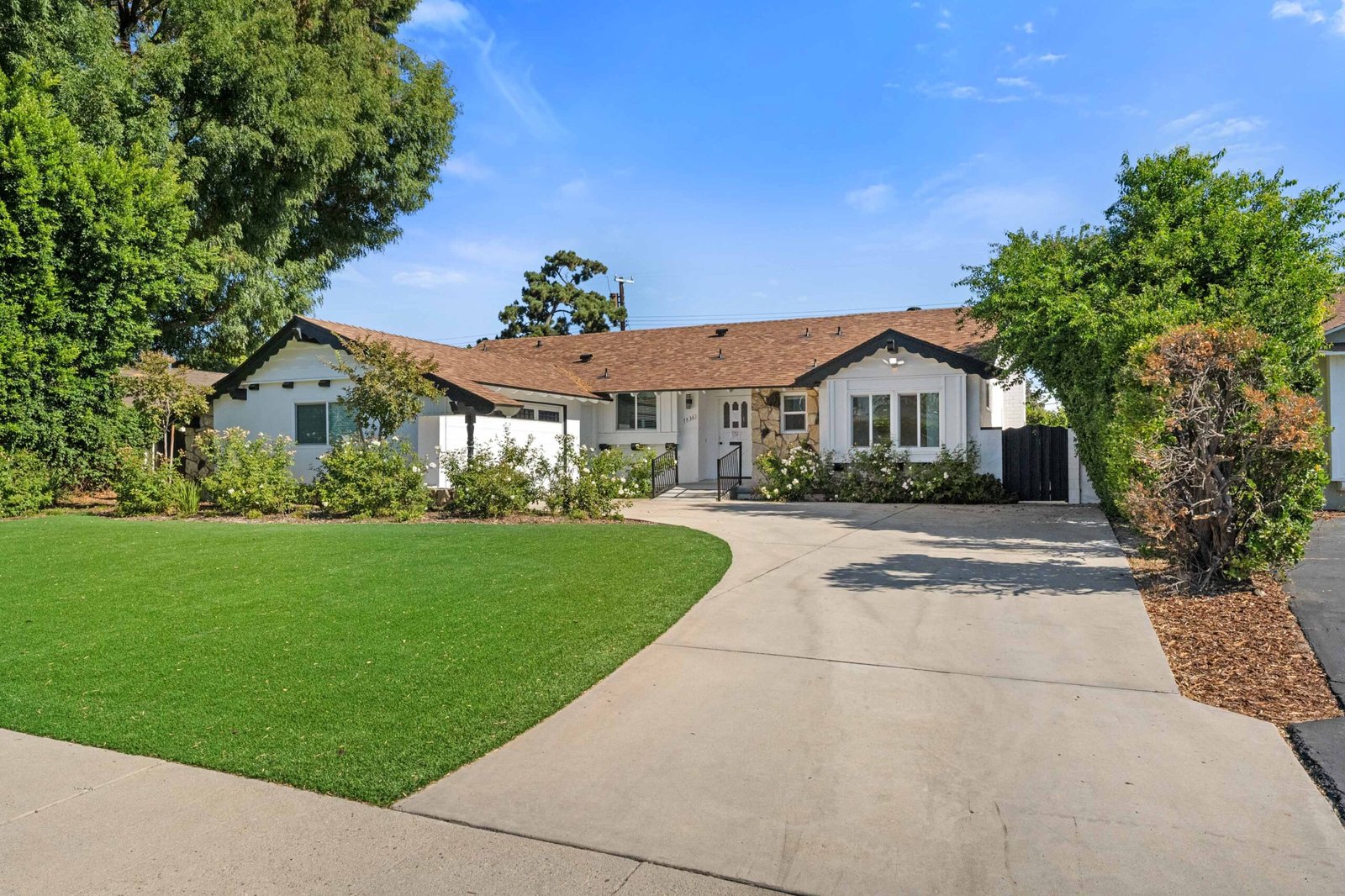 Web Optimized Photos -1