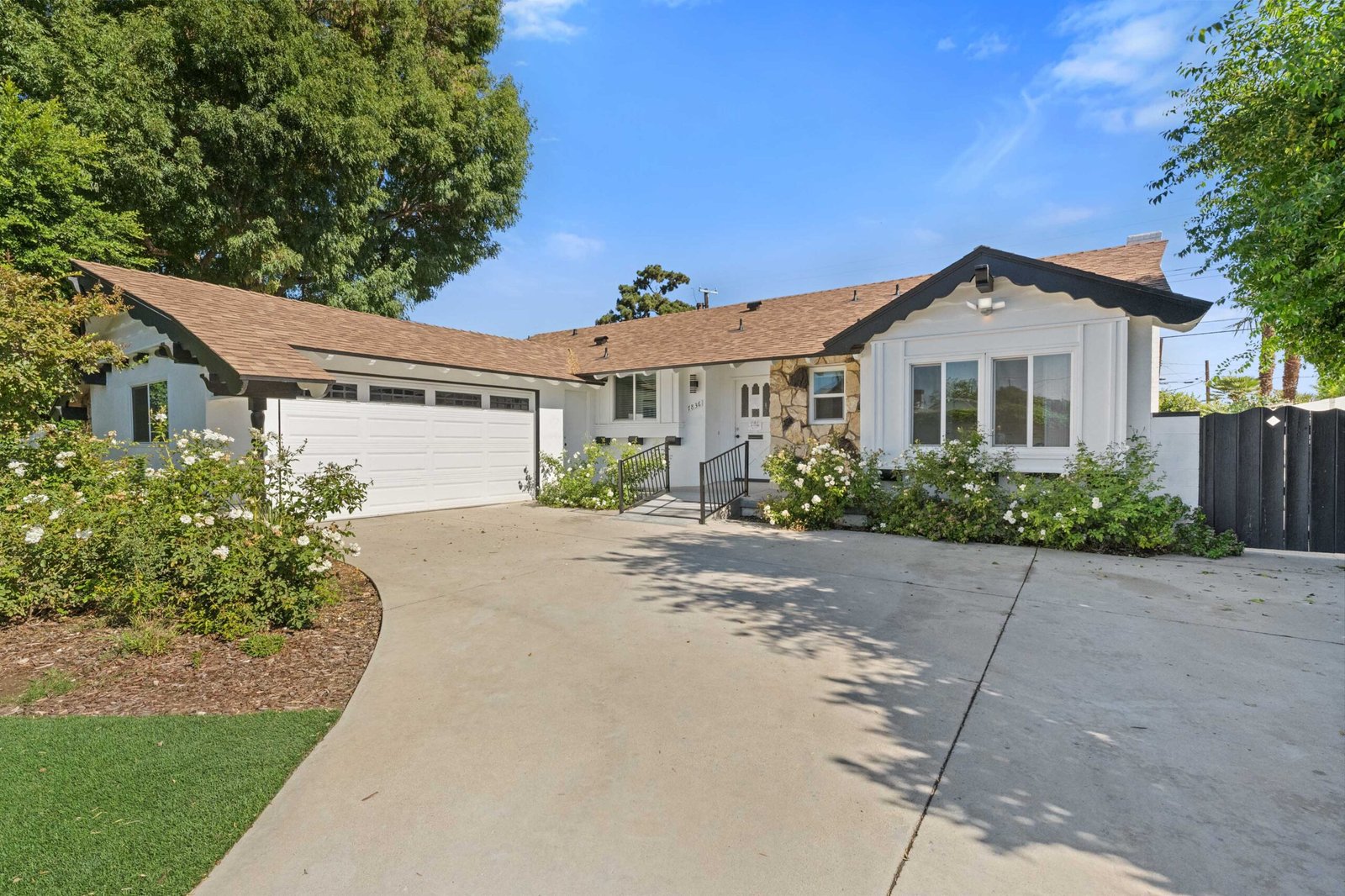 Web Optimized Photos -5